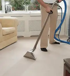 Professional carpet cleaner using a hot-water extraction wand and hose machine in a living room in Boise, ID.