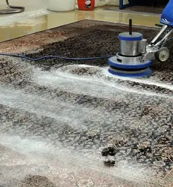 Professional rug cleaning with a rotary floor machine and shampoo foam, deep-cleaning an area rug Boise, ID.